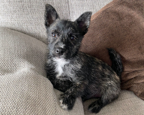 Billy