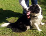 flossie
