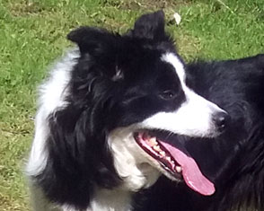 Flossie