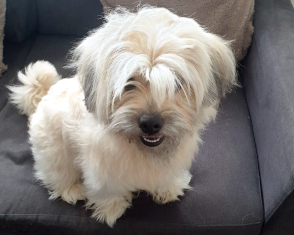 Micky