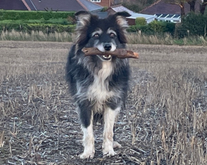 Bella
